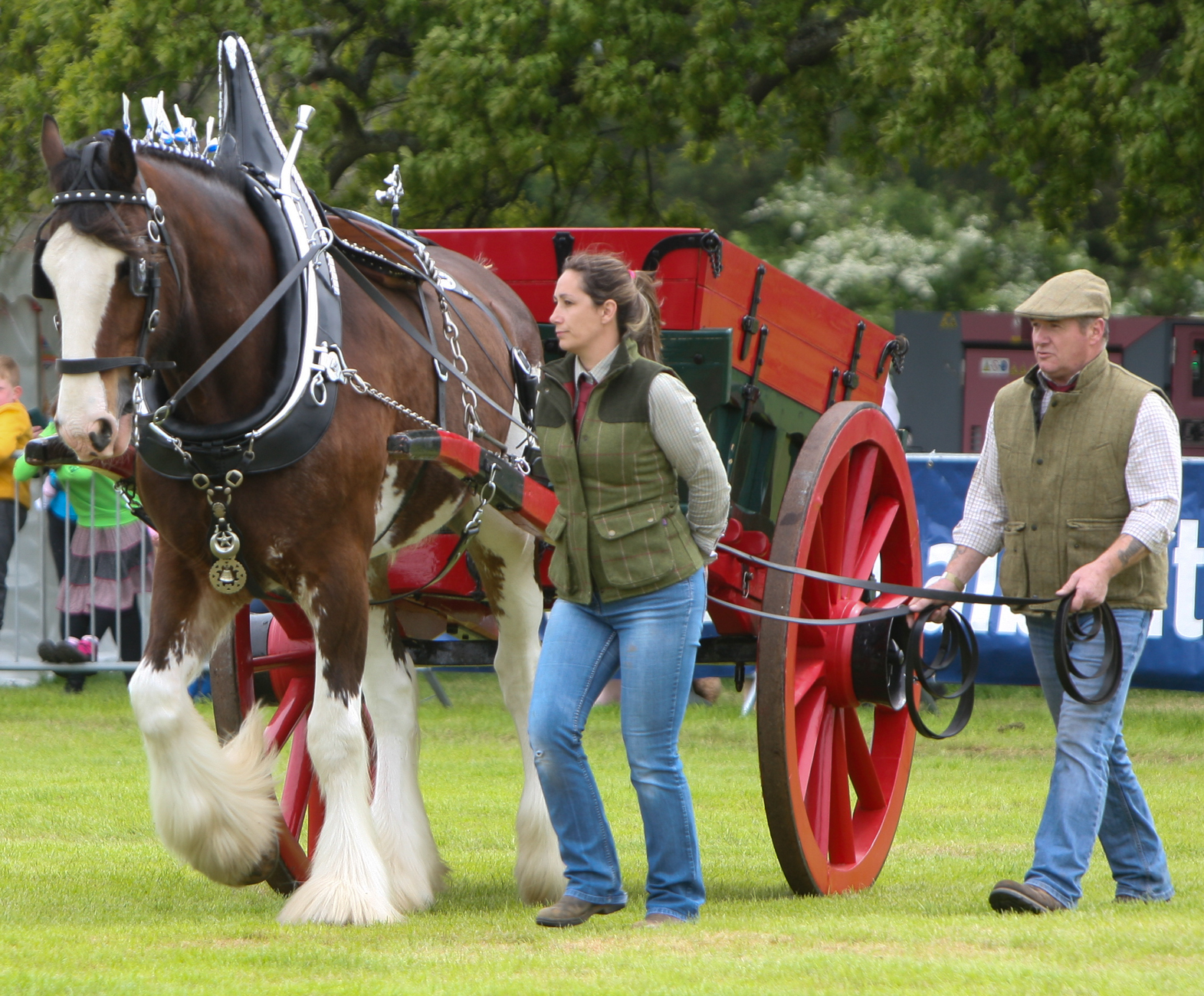 Gallery Fife Show
