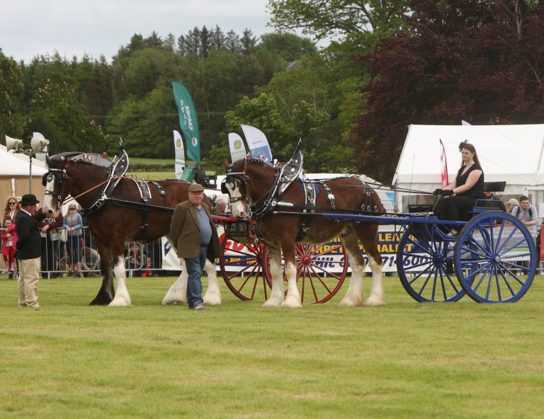 Gallery Fife Show
